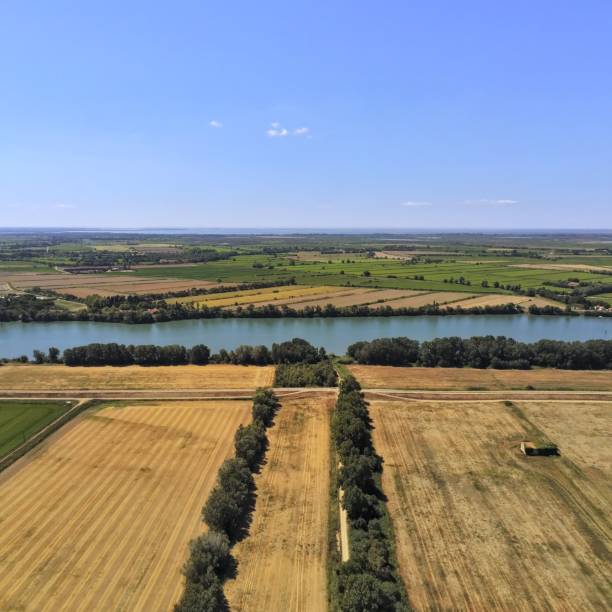 istock Aerial view of wheat and grass fields with a river flowing in the middle 1445355624