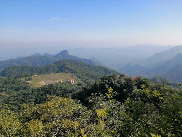 istock Aerial view of greenery mountains surrounded by dense trees 1445355657