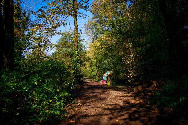 lungo sentiero attraverso la riserva naturale locale del glamorganshire canal - glamorganshire foto e immagini stock