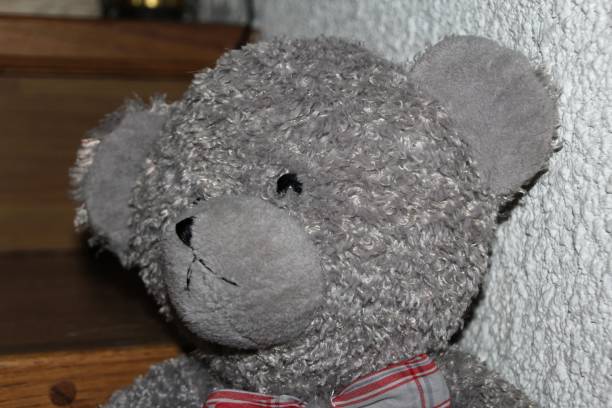 istock Closeup of a grey stuffed bear 1445356163