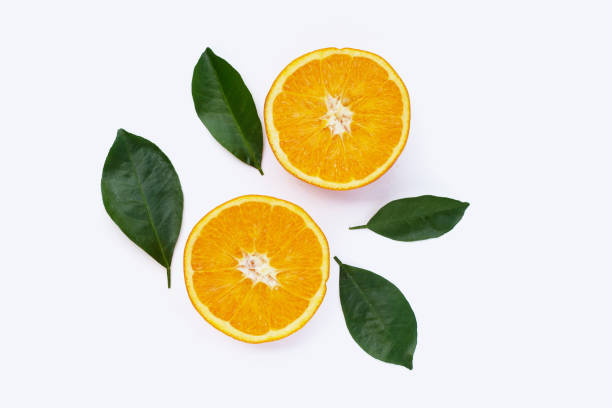 istock Orange fruit with green leaves on white background. 1445356622