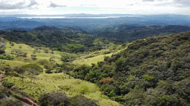 istock Beautiful landscape with green vale and hills. 1445356742