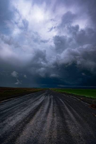 istock Vertical shot of dirt road under a dramatic gloomy sky 1445356766