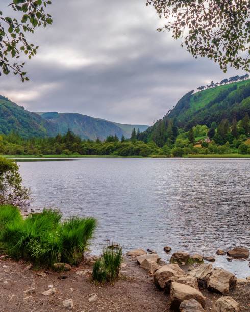 istock Vertical shot of Glendalough Lower Lake on a cloudy day 1445357633