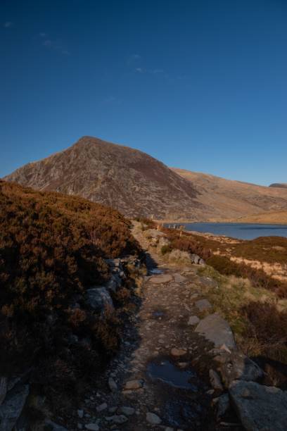 istock Mountain landscape on a sunny day 1445357856