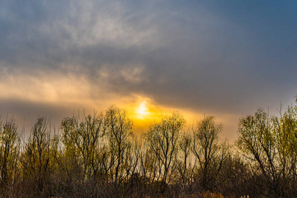 cloudy sunset lonely hazy weather