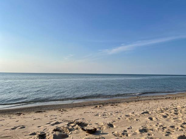 istock Beautiful sandy beach on a sunny day 1445358256