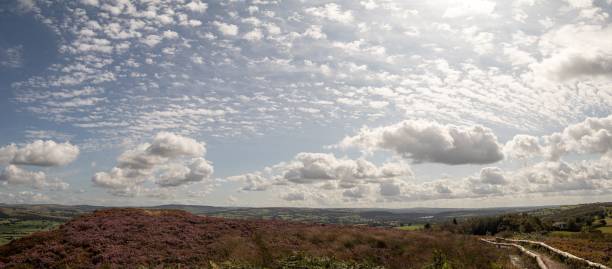 istock Scenic view of a landscape covered with greenery under a cloudy blue sky 1445358649