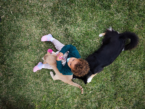 Top view of a happy child sitting with her cat and dog on green grass in the backyard.