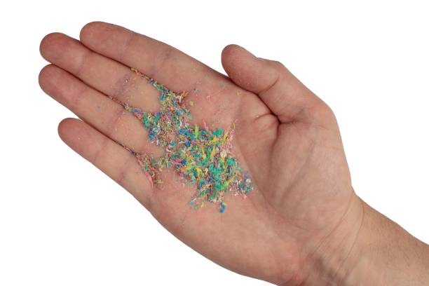 istock Micro plastic on a man's hand, top photo. Dots of colored plastic on the hand. 1445359121