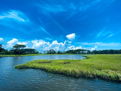A beautiful shot of green grass glade by the lake with blue sky and trees in the background