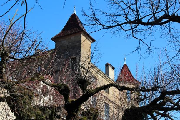 istock View of tree branches and an old church with blue sky 1445361229