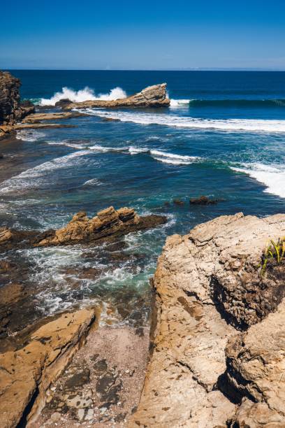 istock Vertical shot of a rocky sea coast 1445361931