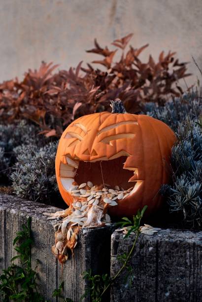 Vertical shot of an orange carved pumpkin decoration outdoors A vertical shot of an orange carved pumpkin decoration outdoors throwing up pumpkin stock pictures, royalty-free photos & images