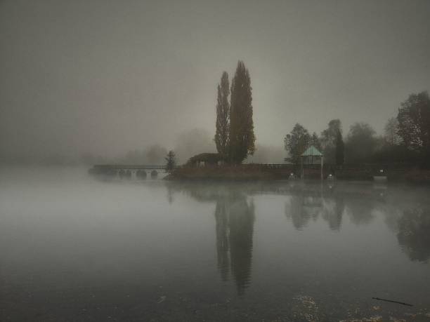istock Trees reflecting in the water on a dull foggy evening 1445362204