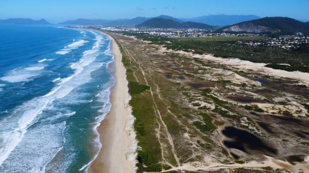 istock Drone view of a beautiful sea in Florianopolis, Brazil 1445363206