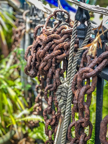 A closeup of rusted chains in a garden
