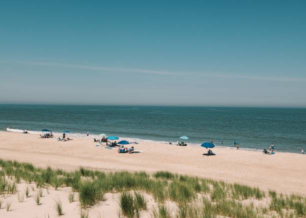 istock Overview of the beach on a sunny day 1445363710
