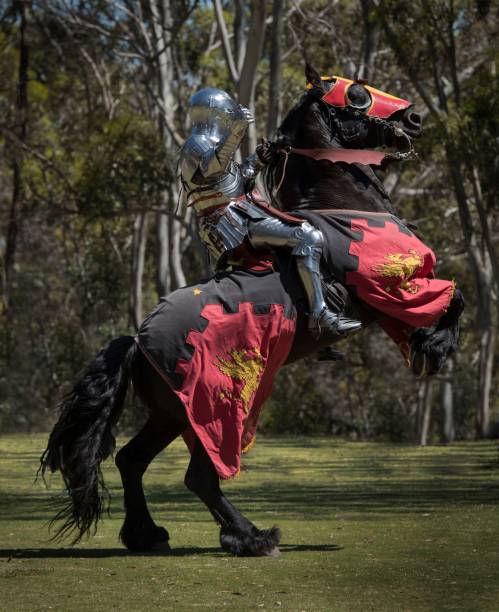 istock Knight on a black horse wearing black and red caparison 1445363779