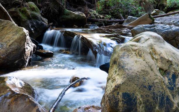istock Closeup shot of a river flowing through the forest 1445364014