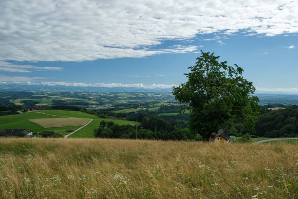Scenic shot of the view along the trail of Schlosserweg in Grein, Austria A scenic shot of the view along the trail of Schlosserweg in Grein, Austria grein austria stock pictures, royalty-free photos & images