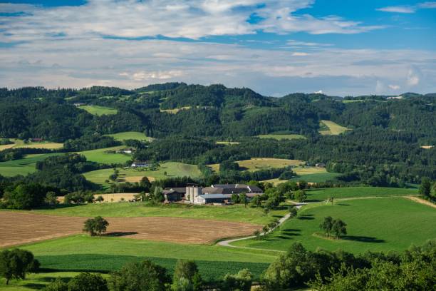 Scenic shot of the view along the trail of Schlosserweg in Grein, Austria A scenic shot of the view along the trail of Schlosserweg in Grein, Austria grein austria stock pictures, royalty-free photos & images
