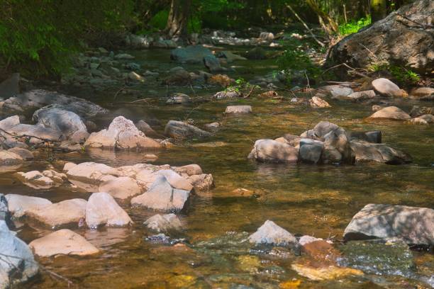 istock Small river flowing through the stones in the Thuringian Forest, Germany 1445365131
