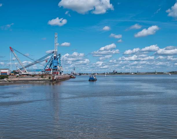 istock Industrial view of cranes on a harbor under a blue sky 1445365173