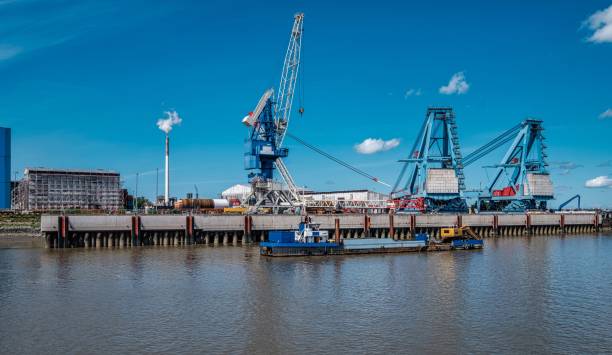 istock Industrial view of cranes on a harbor under a blue sky 1445365196