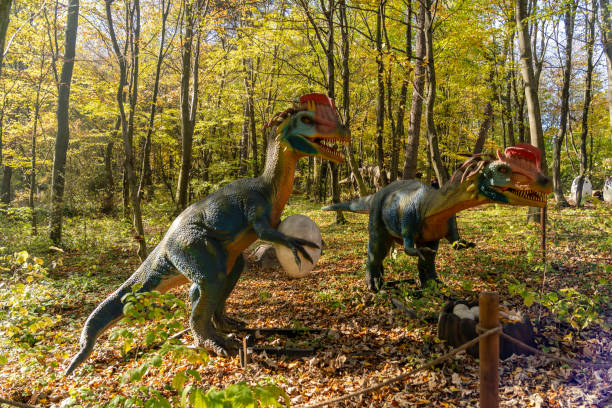 istock Dinosaur models in the forest. Dinosaurs in the jungle 1445367433