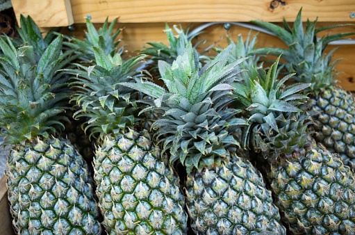 A beautiful shot of several pineapples on a wooden shelf