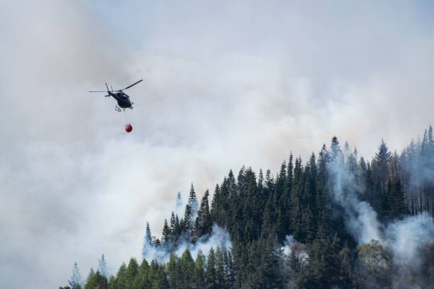 istock Aerial firefighting Helicopter transporting water to burning forest 1445367677