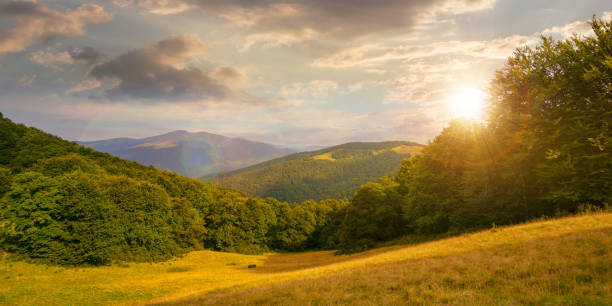 istock alpine meadows at sunset in summer 1445368718