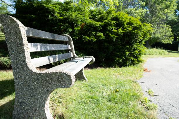 istock Selective of a bench in a green park on a sunny morning 1445368754