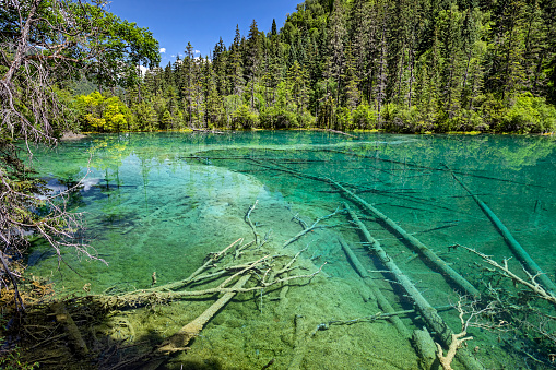 Beautiful view of The Pools of Immortals, natural pools near Jiuzhaigou National Park in Sichuan province, China