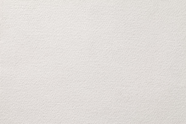 White paper texture background.