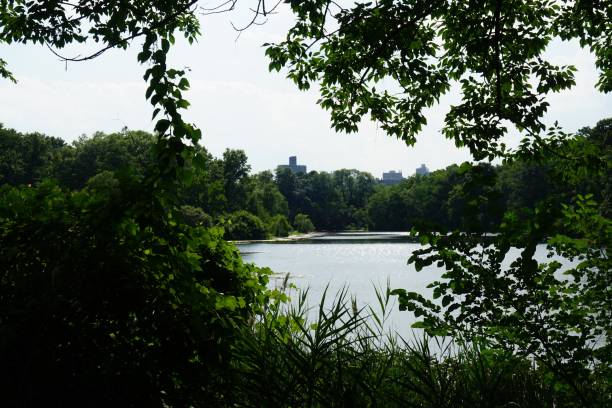 istock Van Cortlandt Park 1445371926