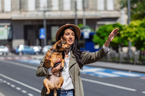 Young woman with dog waving to stop a taxi on the street. young female with funny dog stretching out arm and catching taxi while standing on roadside in city
