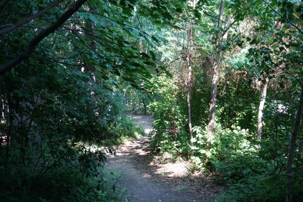 istock Van Cortlandt Park 1445373034