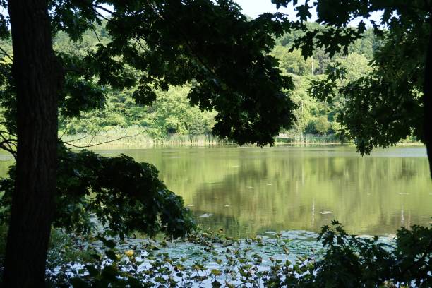 istock Van Cortlandt Park 1445373139