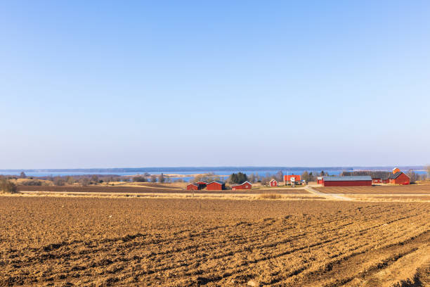 istock Rural landscape view with a plowed field at spring 1445373249