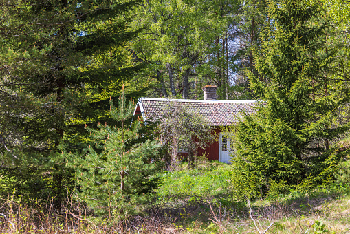 Idyllic red cottage in the woodland