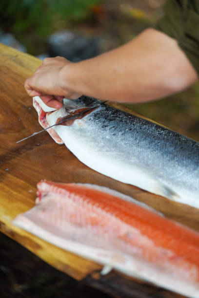 istock Salmon cooking over a camp fire. Bushcraft campsite. 1445373590