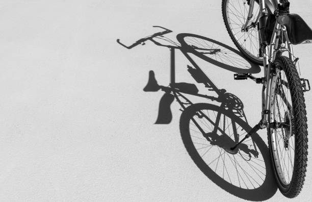 Close up bicycles parked at park in Sarasota, Florida