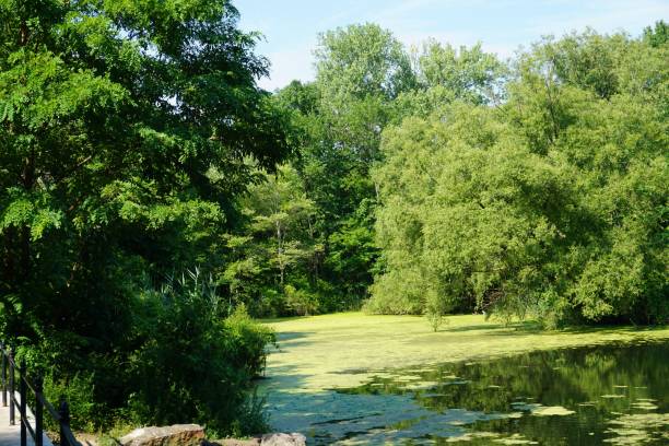istock Ban Cortlandt Park 1445379981