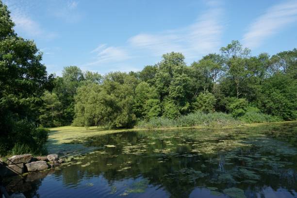 istock Ban Cortlandt Park 1445380188