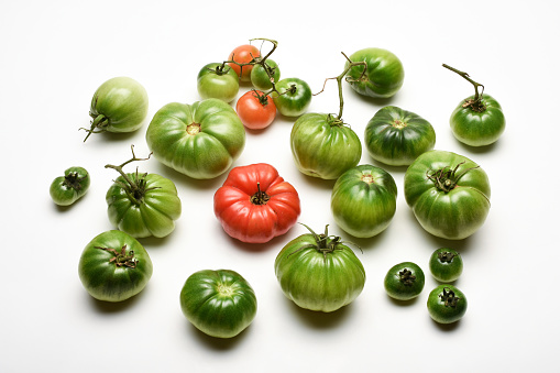 Fresh organic tomatoes on the white background. Tomato varieties