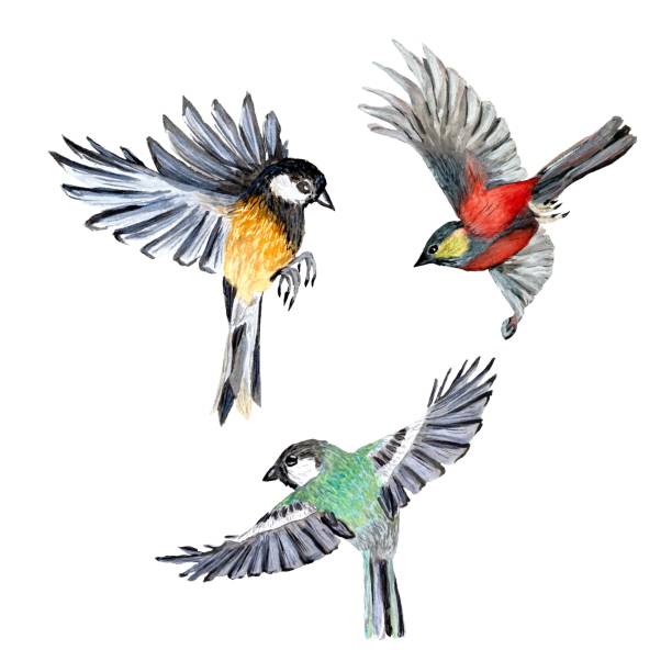 istock Bird red yellow green set watercolor illustration 1445382443