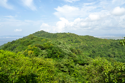 Green area, hills of the Sanjay Gandhi or Borivali National Park in Mumbai, India