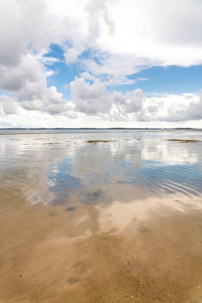 istock Brittany, panorama of the Morbihan gulf 1445383981